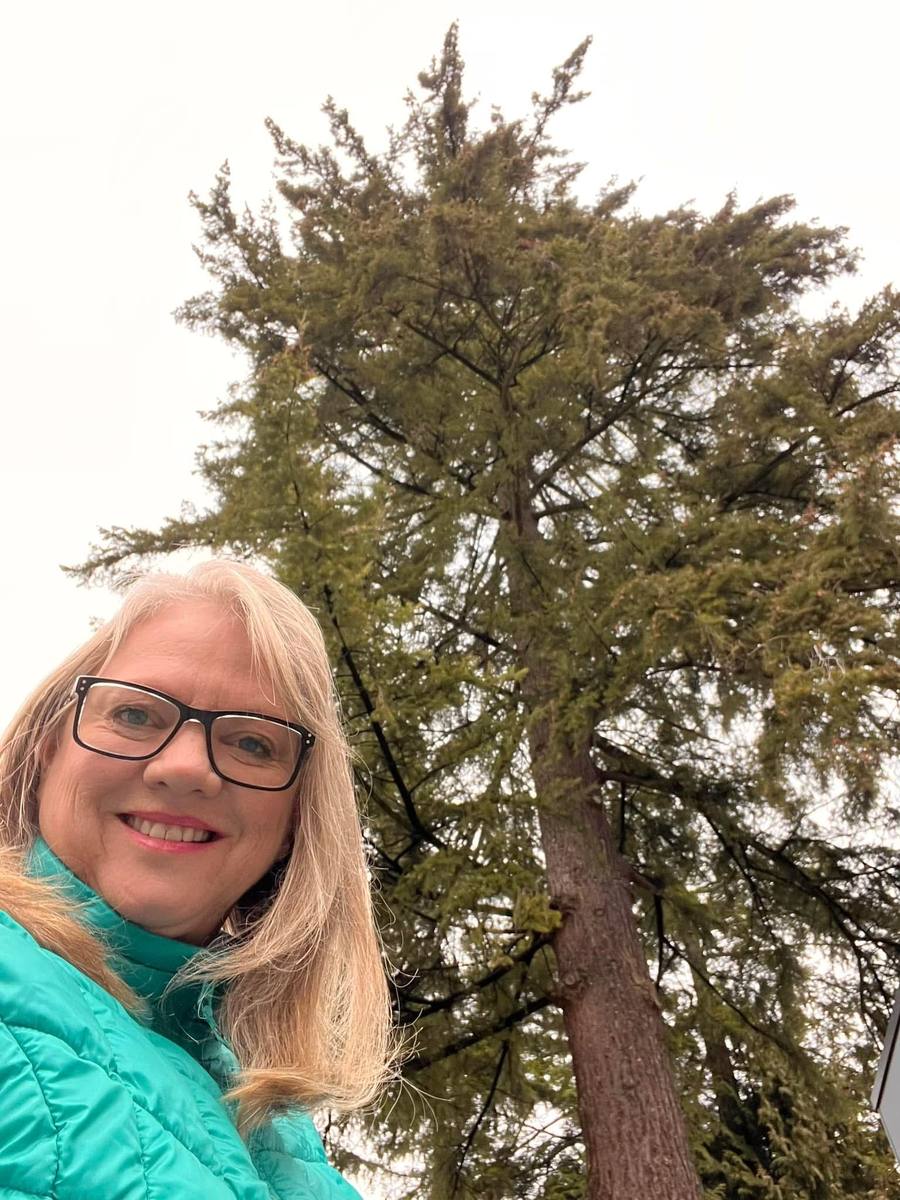 Protecting Our Urban Tree Canopy